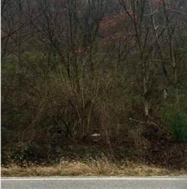 701 Lupton Drive, Chattanooga, Tennessee image 2