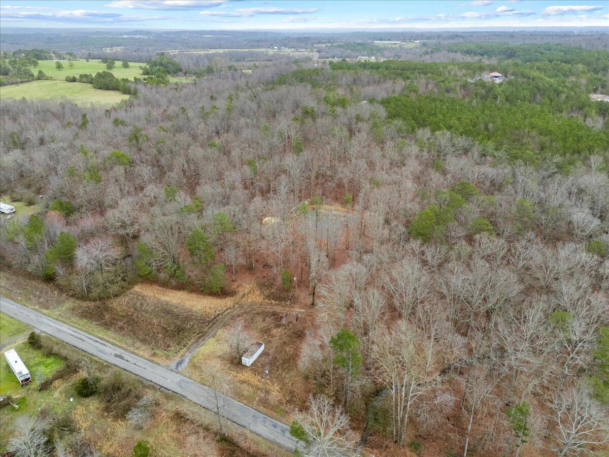 1782 County Road 78, Pisgah, Alabama image 12