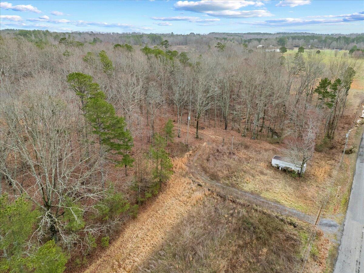 1782 County Road 78, Pisgah, Alabama image 7