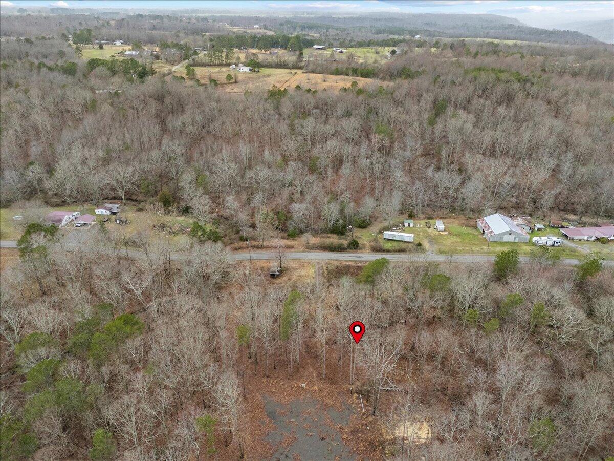 1782 County Road 78, Pisgah, Alabama image 21