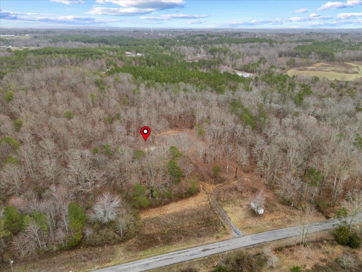 1782 County Road 78, Pisgah, Alabama image 33