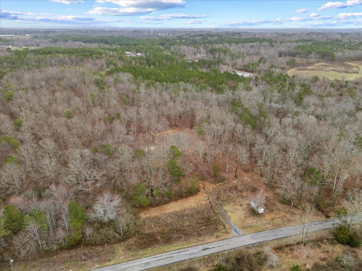 1782 County Road 78, Pisgah, Alabama image 34