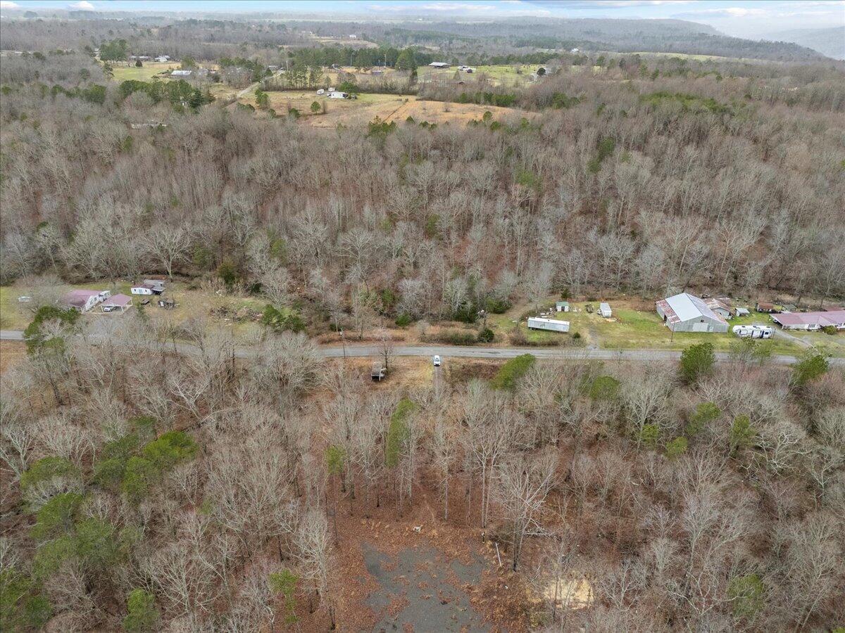 1782 County Road 78, Pisgah, Alabama image 22