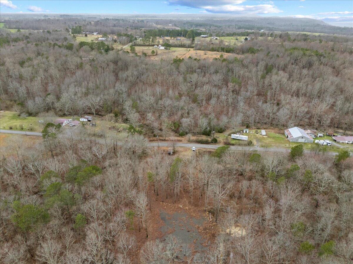 1782 County Road 78, Pisgah, Alabama image 24