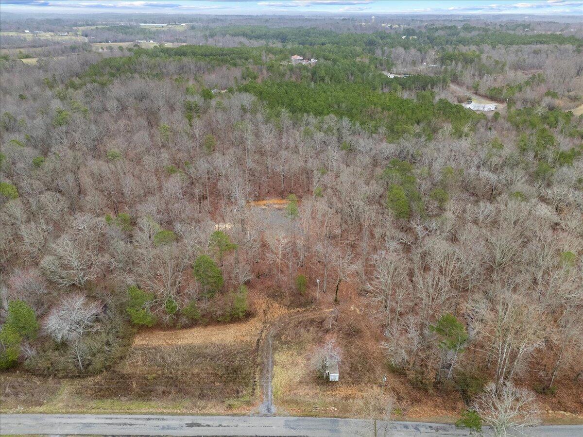 1782 County Road 78, Pisgah, Alabama image 10