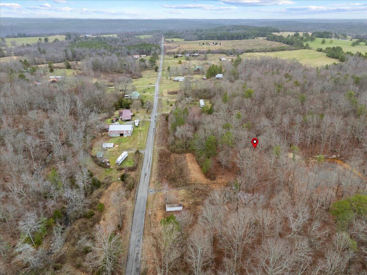 1782 County Road 78, Pisgah, Alabama image 15