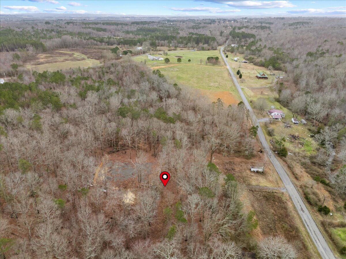 1782 County Road 78, Pisgah, Alabama image 28
