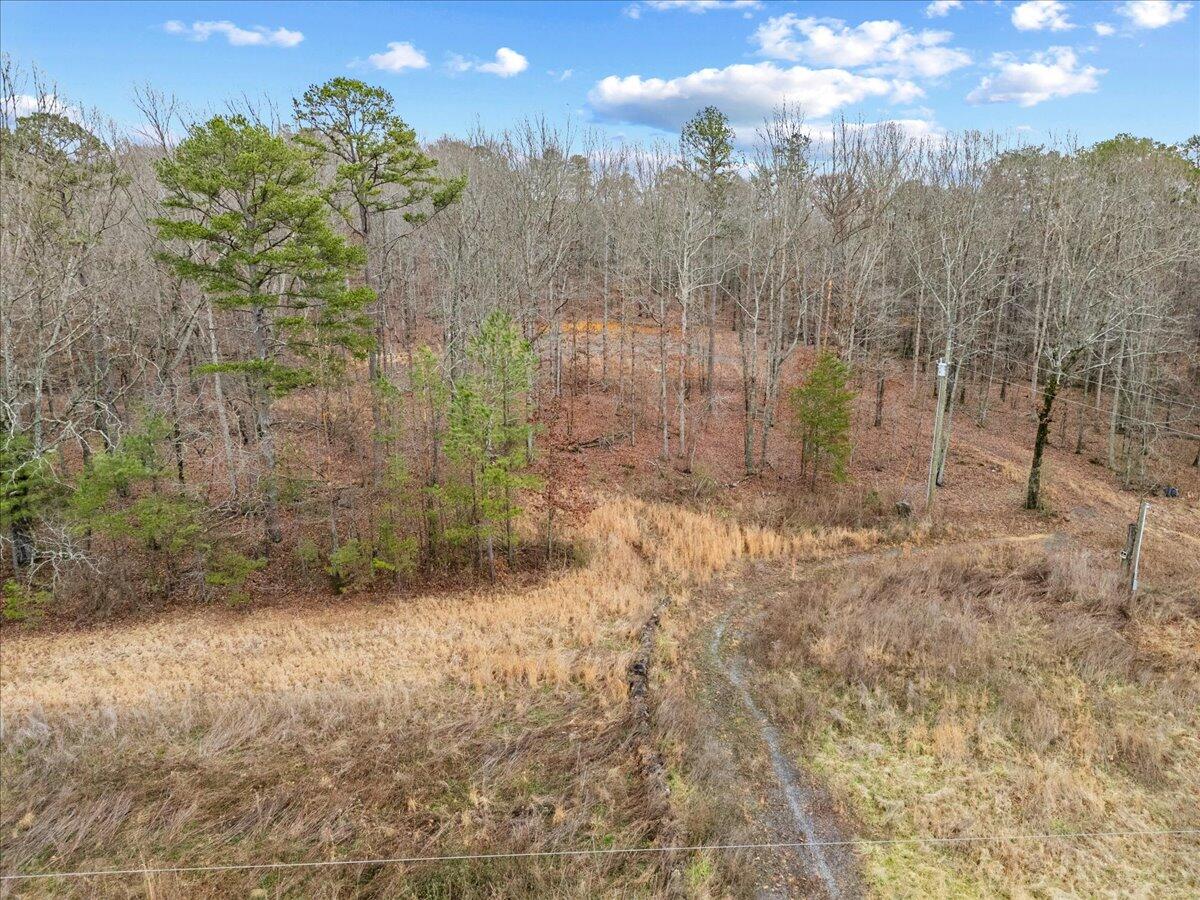 1782 County Road 78, Pisgah, Alabama image 2