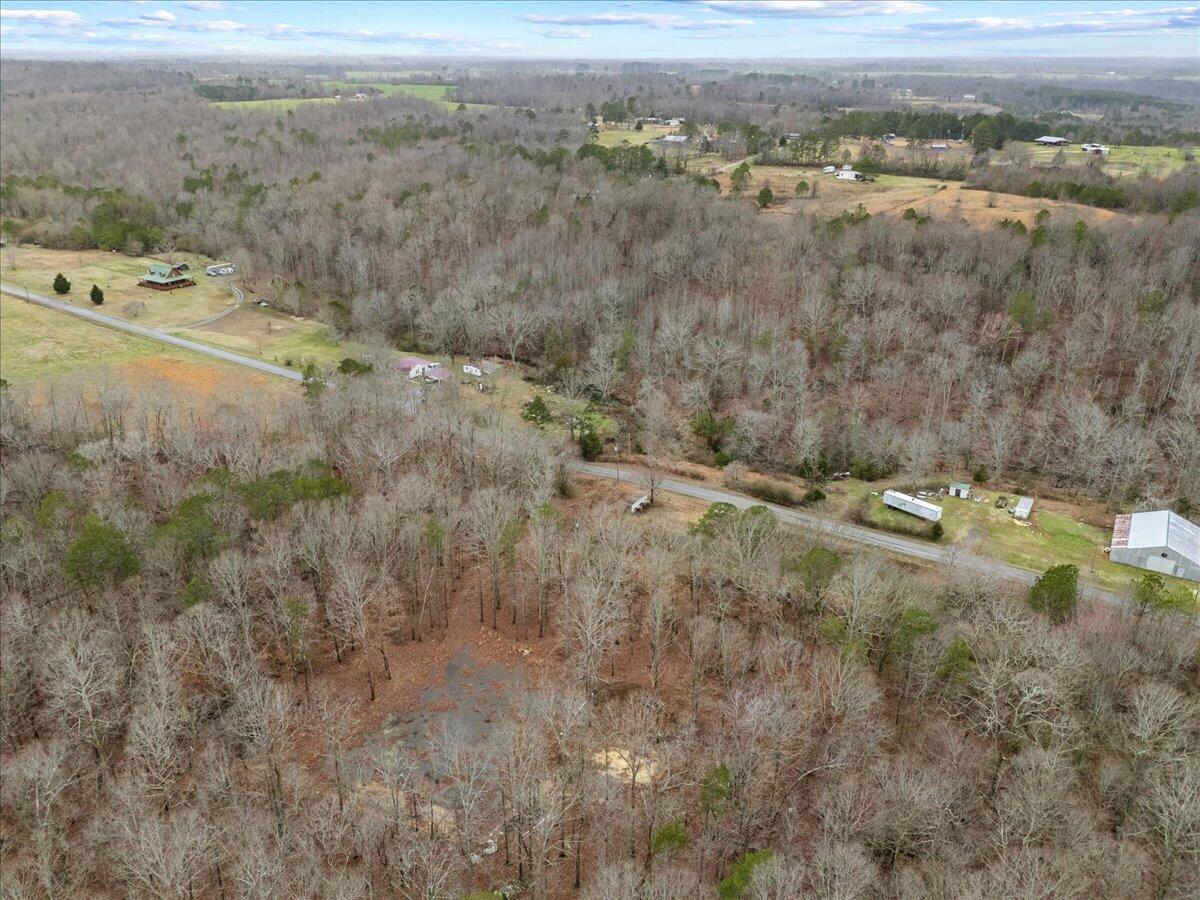 1782 County Road 78, Pisgah, Alabama image 26