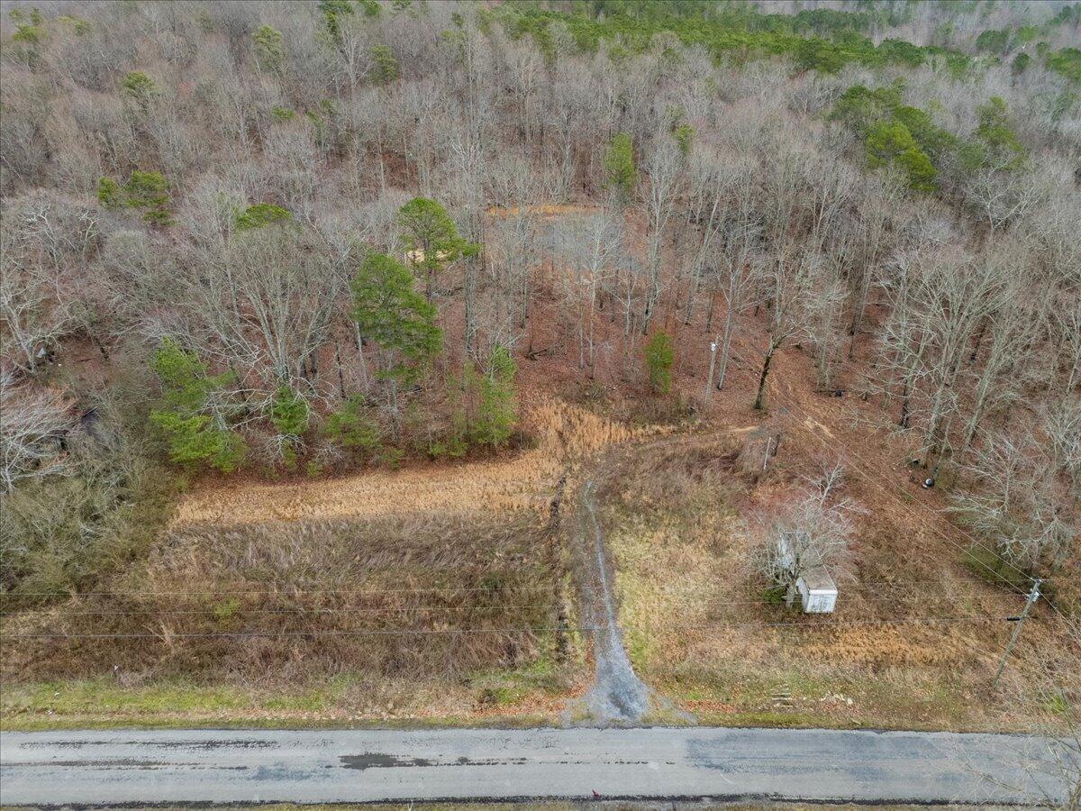 1782 County Road 78, Pisgah, Alabama image 3