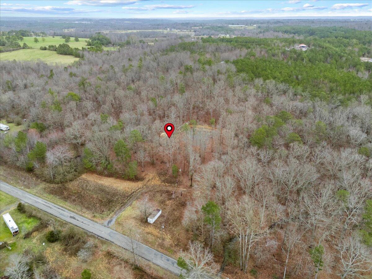 1782 County Road 78, Pisgah, Alabama image 11