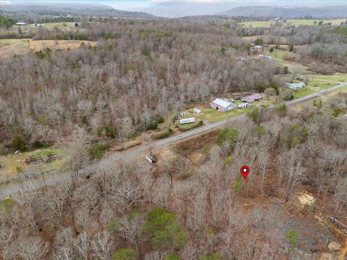 1782 County Road 78, Pisgah, Alabama image 19