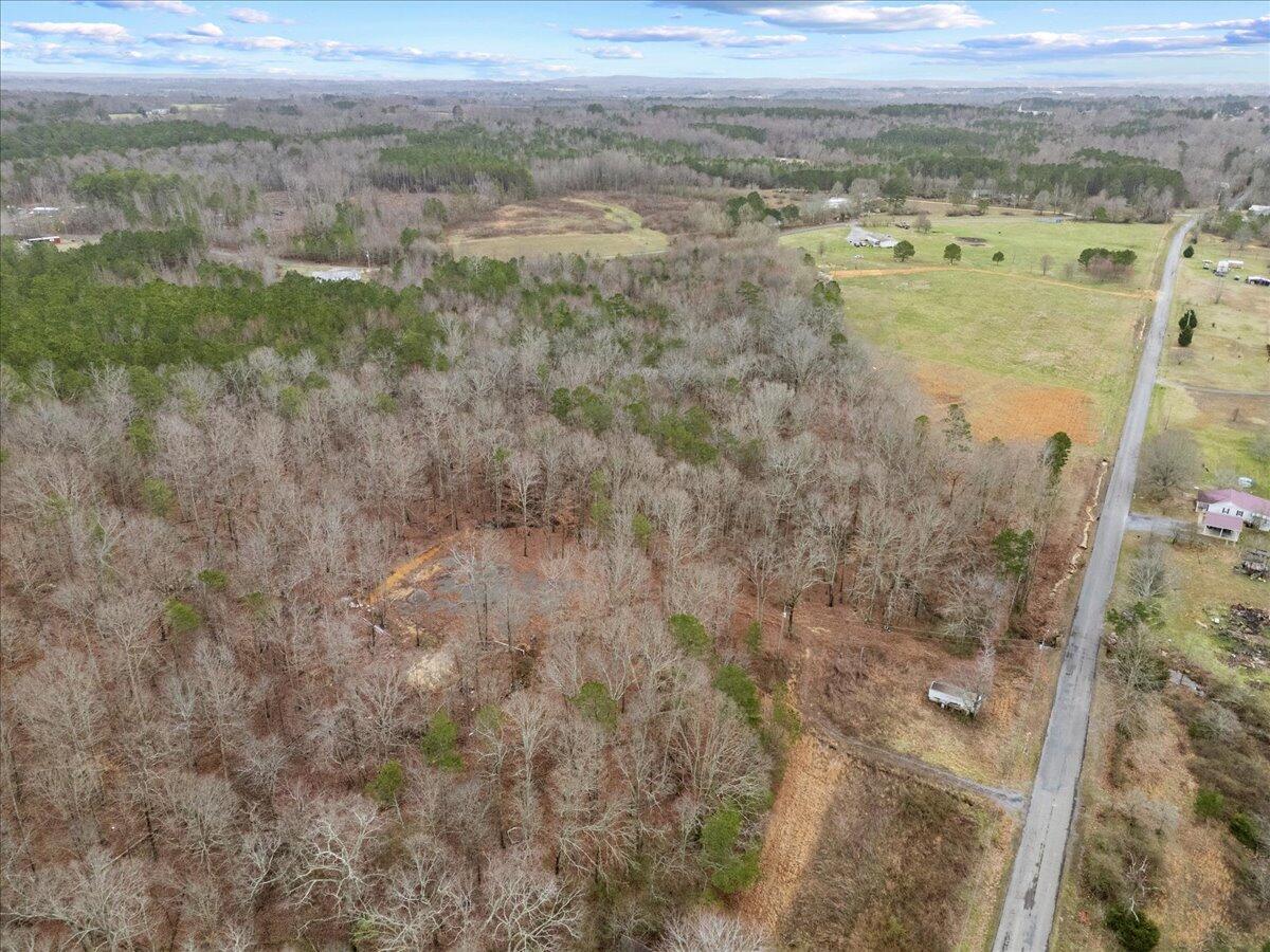 1782 County Road 78, Pisgah, Alabama image 31