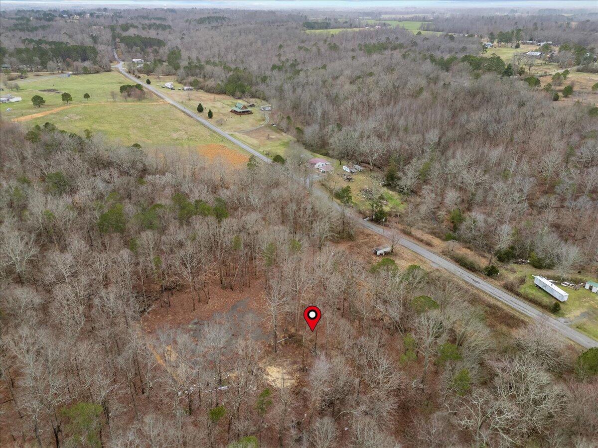 1782 County Road 78, Pisgah, Alabama image 9