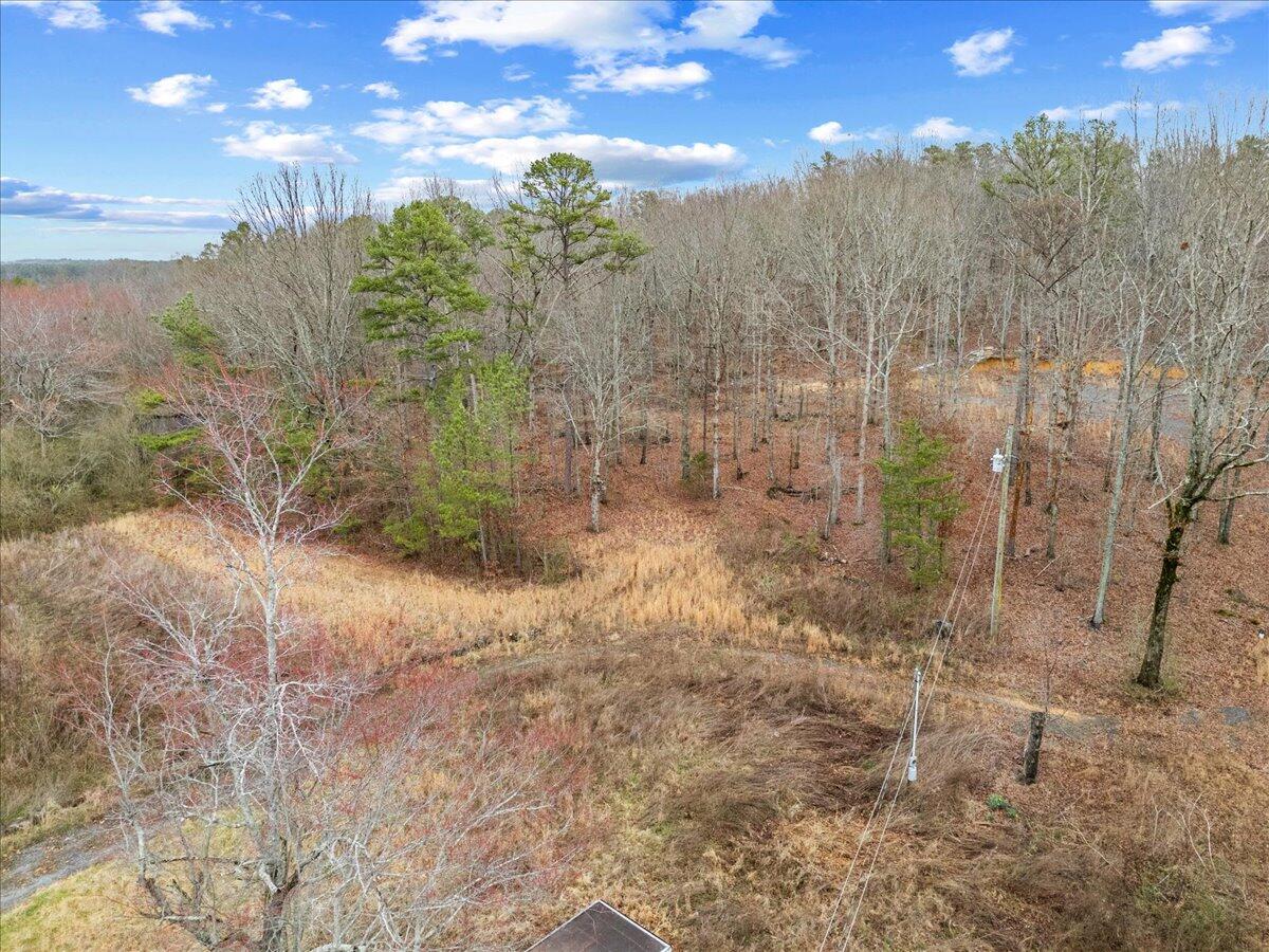 1782 County Road 78, Pisgah, Alabama image 4
