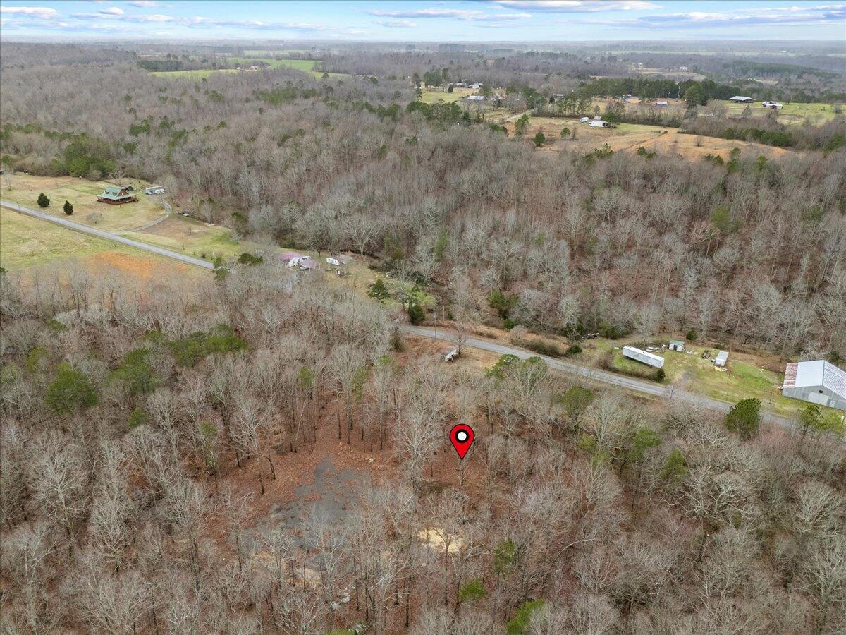 1782 County Road 78, Pisgah, Alabama image 25