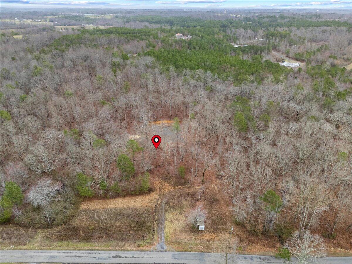 1782 County Road 78, Pisgah, Alabama image 6