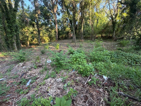 Vacant Land For Sale - 813 Rockway Drive<br/> Chattanooga, TN 37411