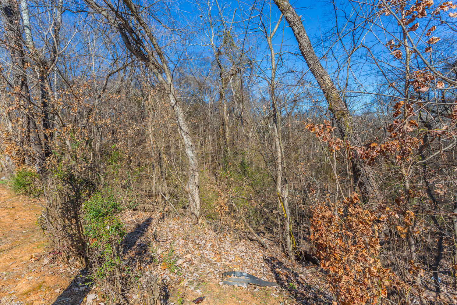Ridge Lake Road, Hixson, Tennessee image 9