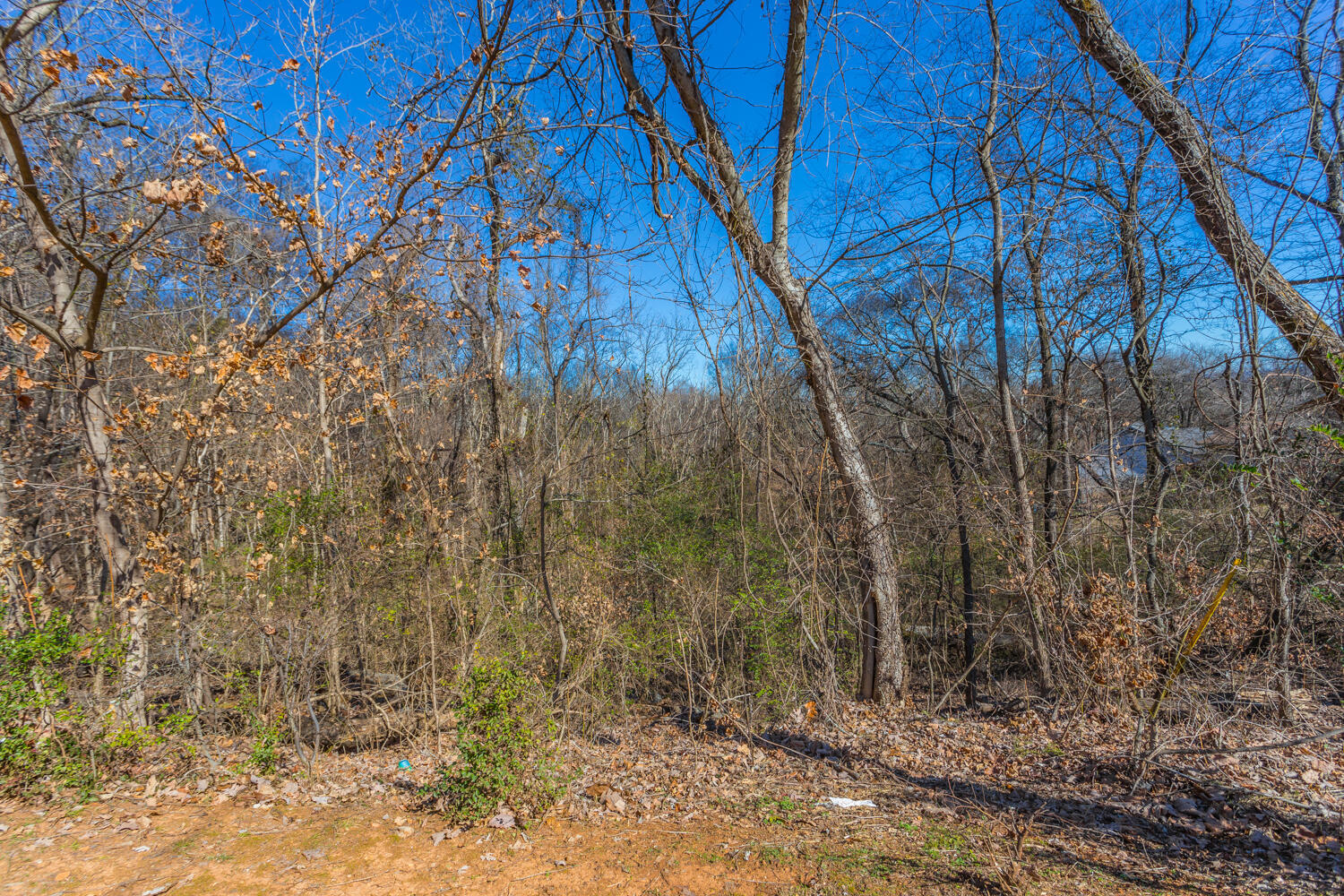 Ridge Lake Road, Hixson, Tennessee image 10