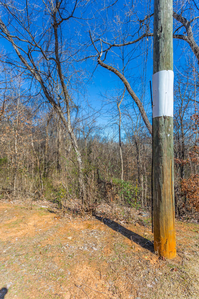 Ridge Lake Road, Hixson, Tennessee image 12