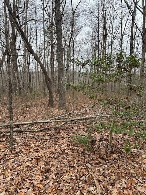 Clear Brooks Drive #95, Signal Mountain, Tennessee image 11