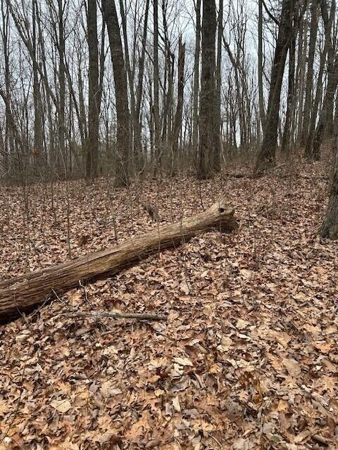 Clear Brooks Drive #95, Signal Mountain, Tennessee image 9