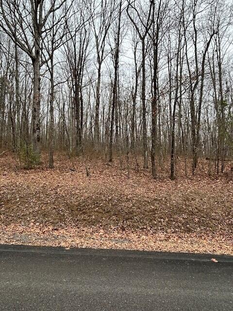 Clear Brooks Drive #95, Signal Mountain, Tennessee image 1