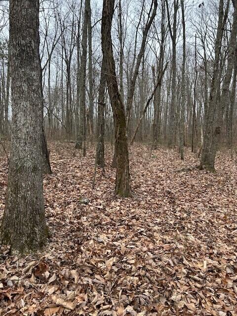 Clear Brooks Drive #95, Signal Mountain, Tennessee image 6