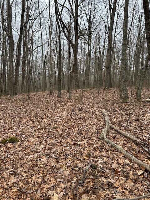 Clear Brooks Drive #95, Signal Mountain, Tennessee image 5