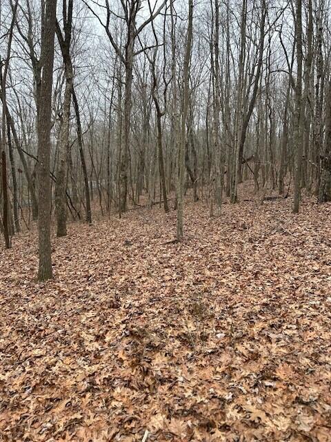 Clear Brooks Drive #95, Signal Mountain, Tennessee image 2
