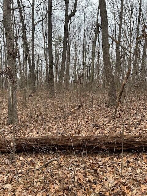 Clear Brooks Drive #95, Signal Mountain, Tennessee image 8