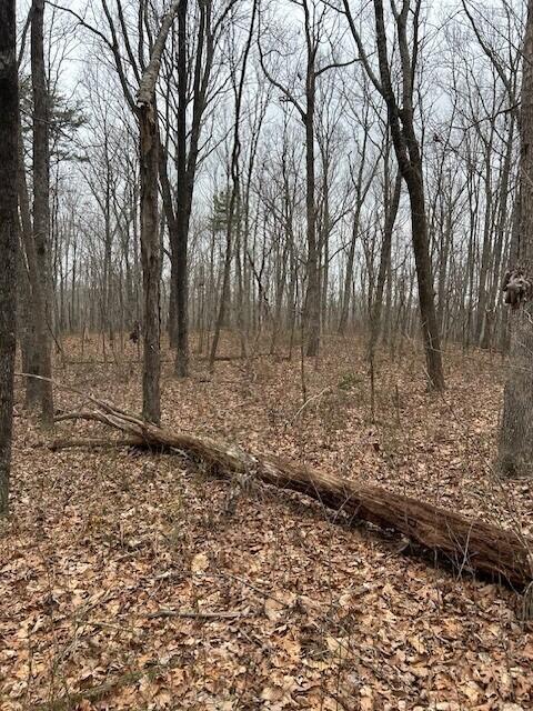 Clear Brooks Drive #95, Signal Mountain, Tennessee image 7