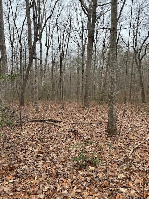 Clear Brooks Drive #95, Signal Mountain, Tennessee image 12