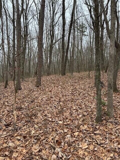 Clear Brooks Drive #95, Signal Mountain, Tennessee image 3