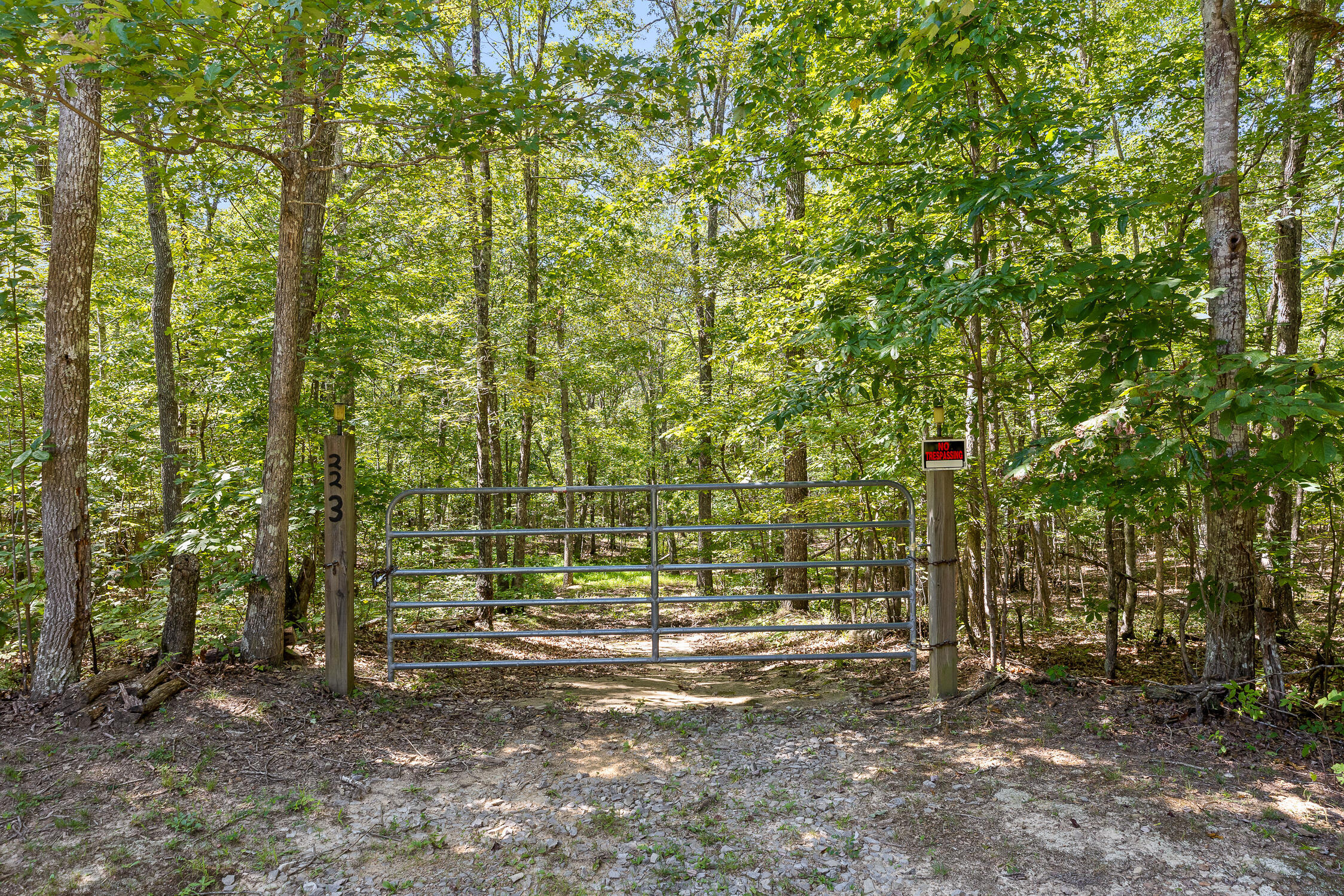 223 Woodland Ridge Road, Dunlap, Tennessee image 4