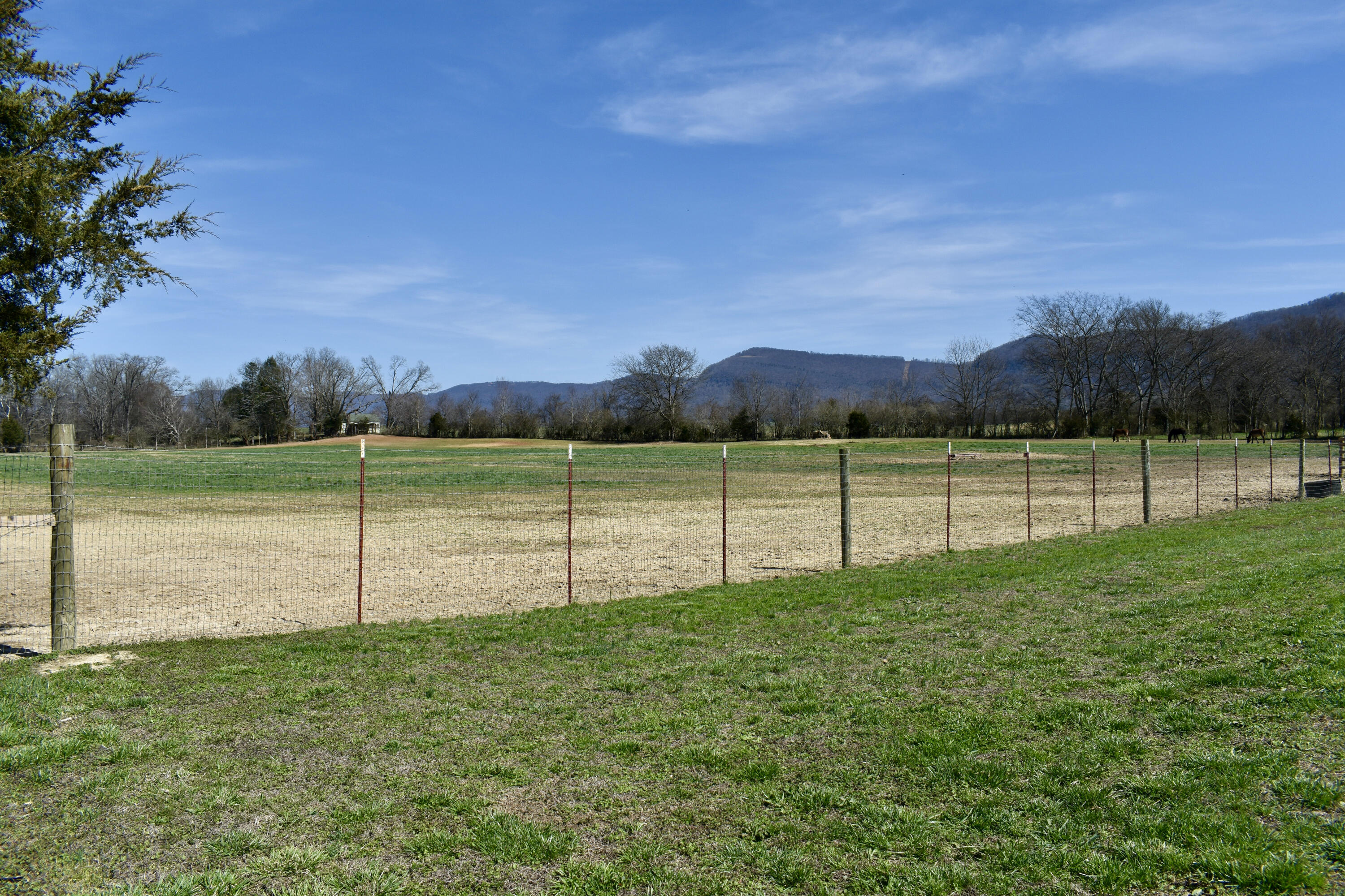 20092 Old State Hwy 28, Pikeville, Tennessee image 9