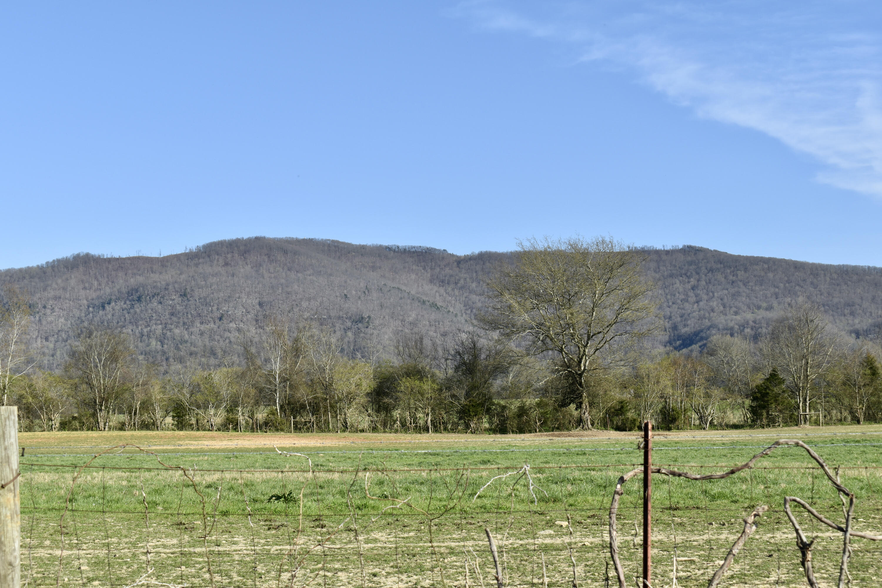 20092 Old State Hwy 28, Pikeville, Tennessee image 7