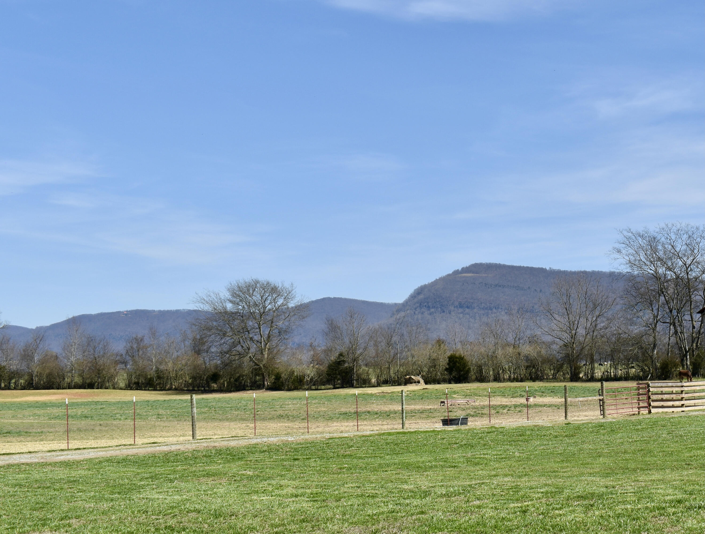 20092 Old State Hwy 28, Pikeville, Tennessee image 1