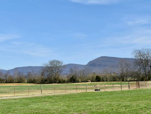 Vacant Land For Sale - 20092 Old State Hwy 28<br/> Pikeville, TN 37367