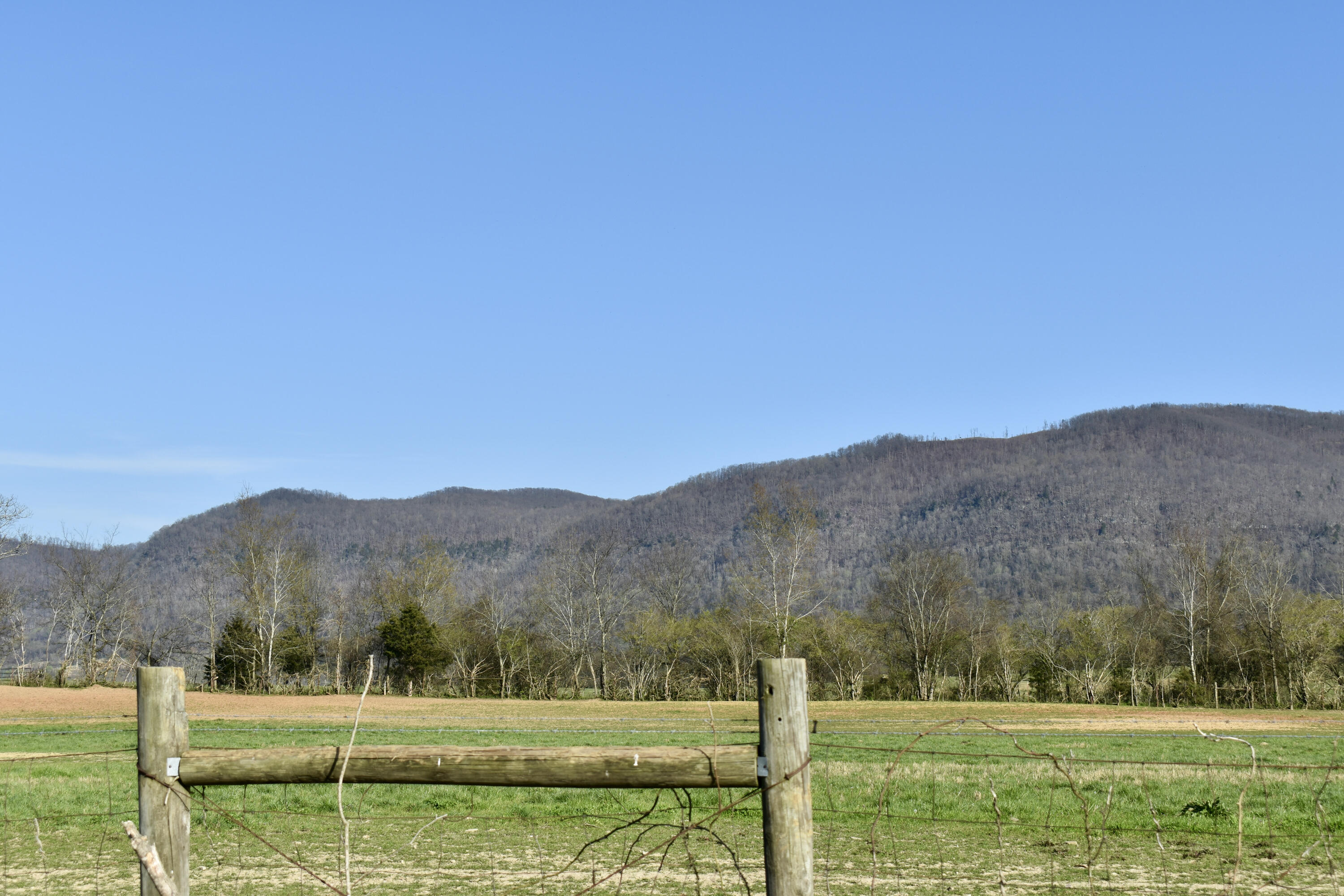 20092 Old State Hwy 28, Pikeville, Tennessee image 3