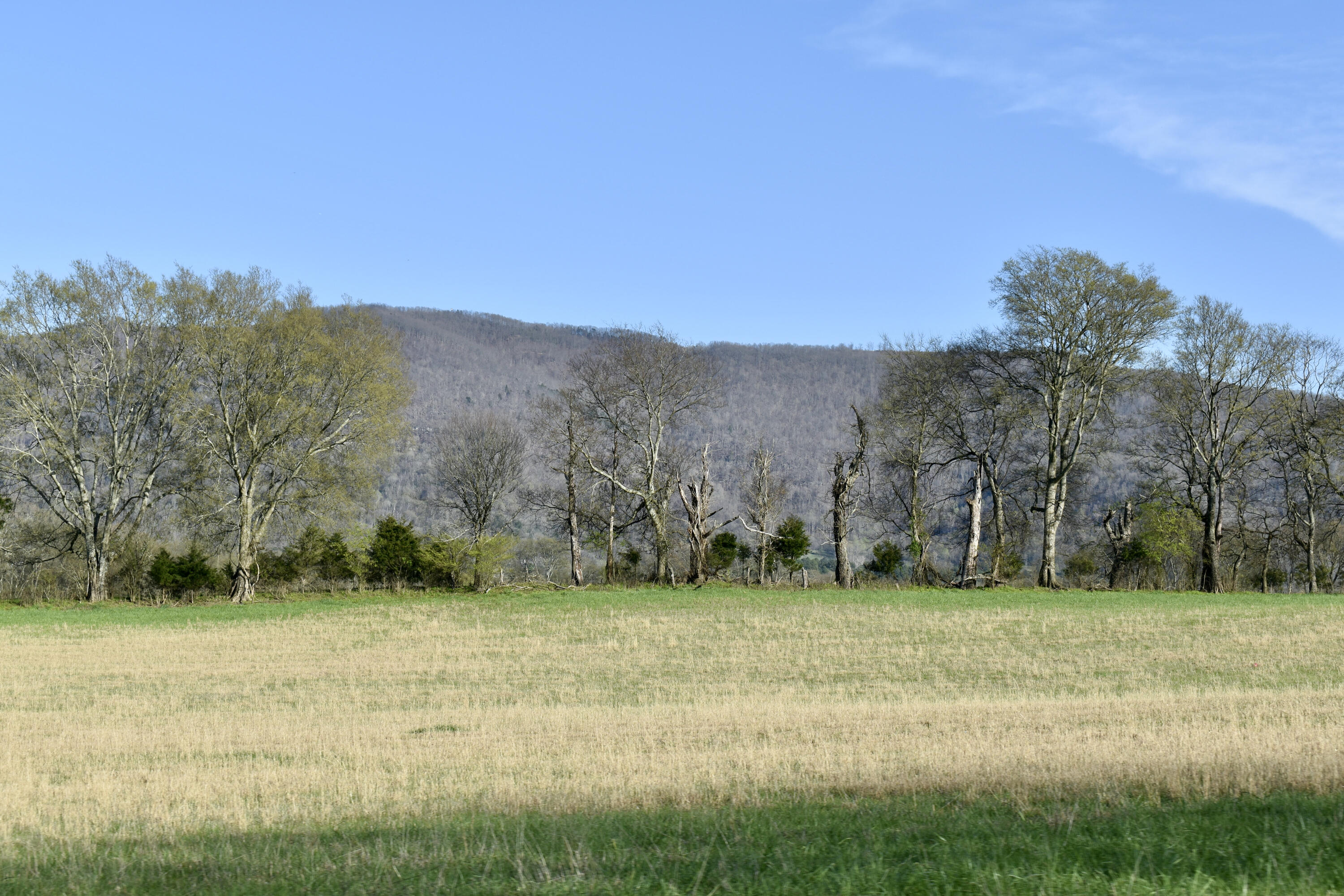 20092 Old State Hwy 28, Pikeville, Tennessee image 5