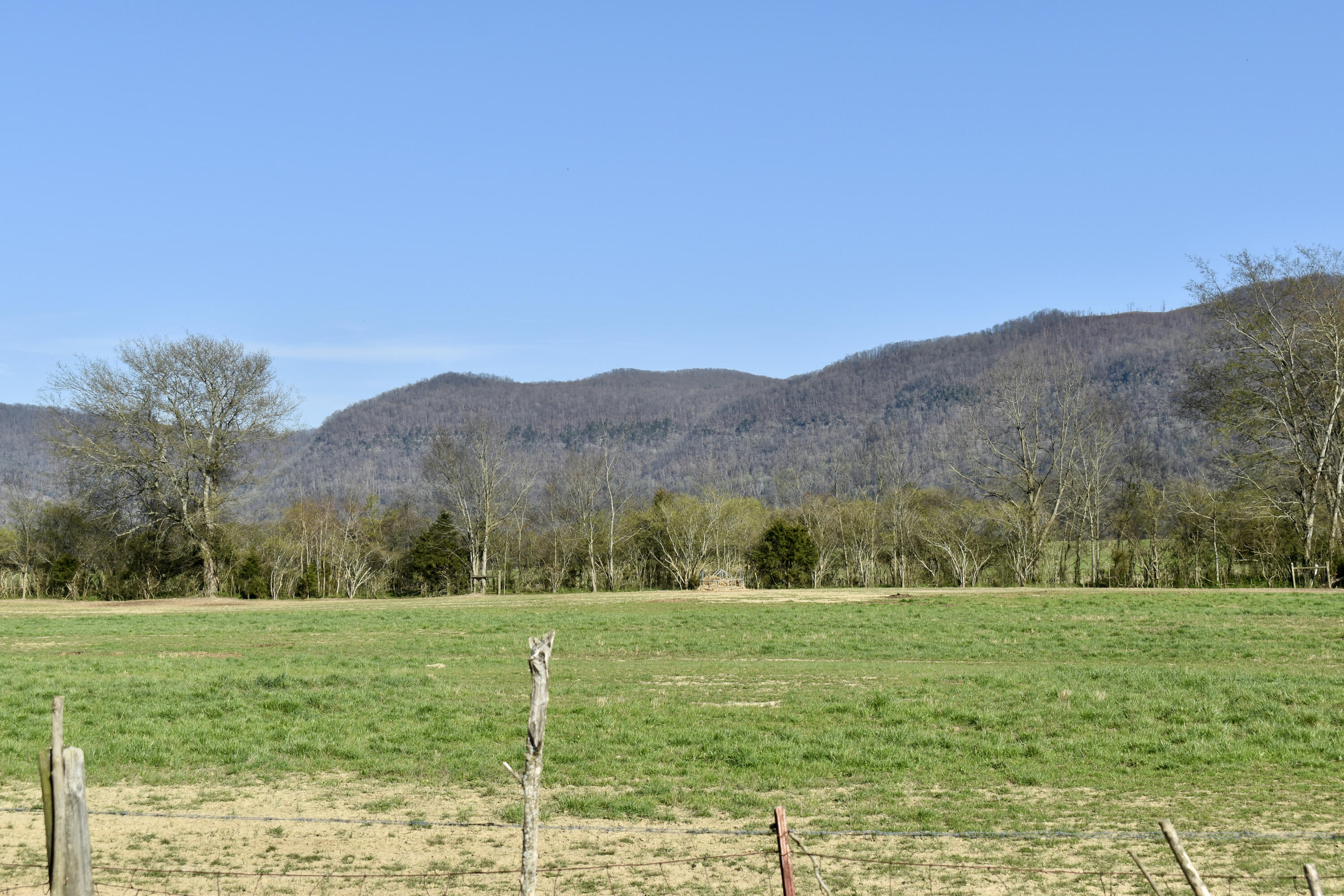 20092 Old State Hwy 28, Pikeville, Tennessee image 4