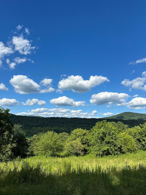 Photo of 14 Battle Creek Road, South Pittsburg, TN 37380 (MLS # 1396183)