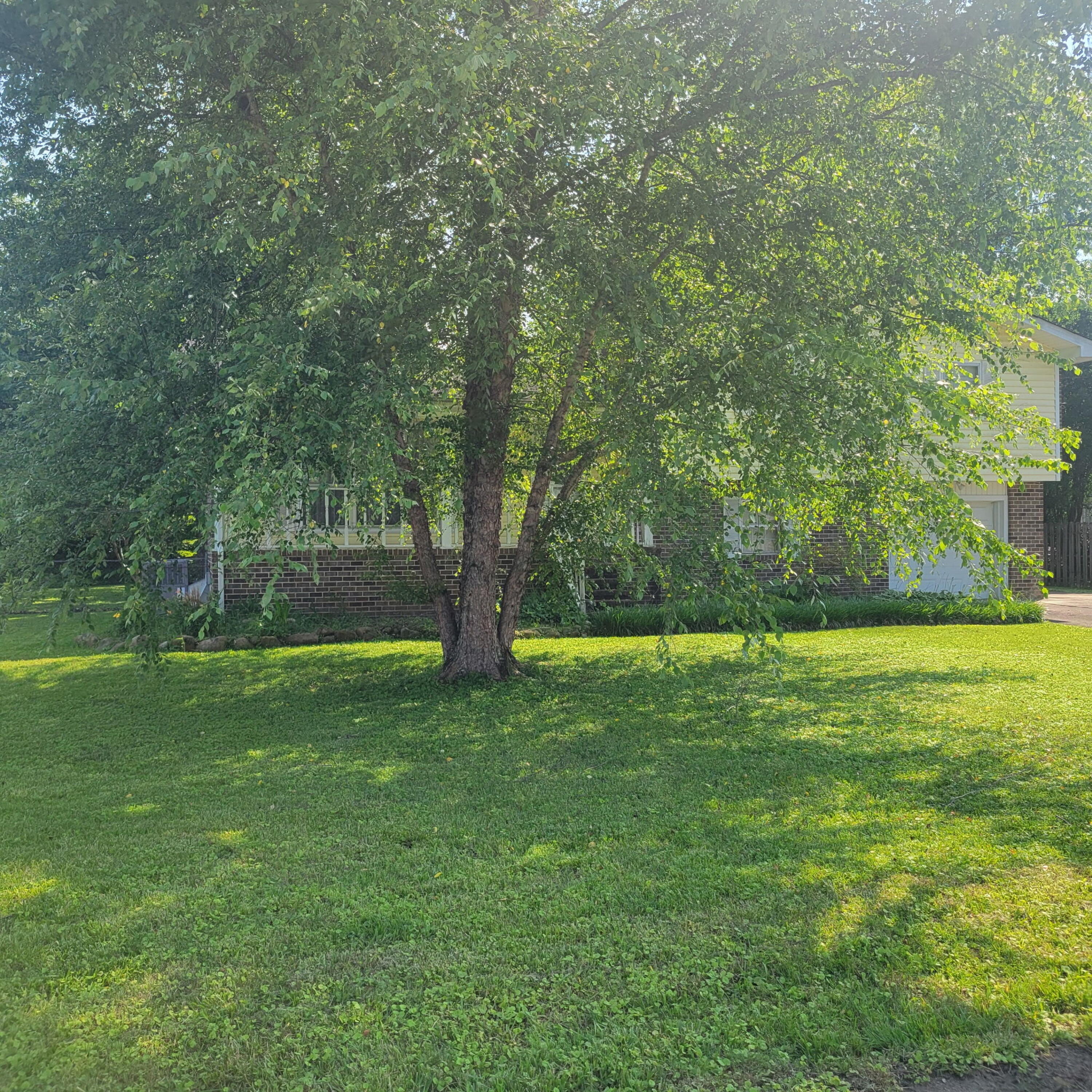 1030 Ambrose Lane, Hixson, Tennessee image 4