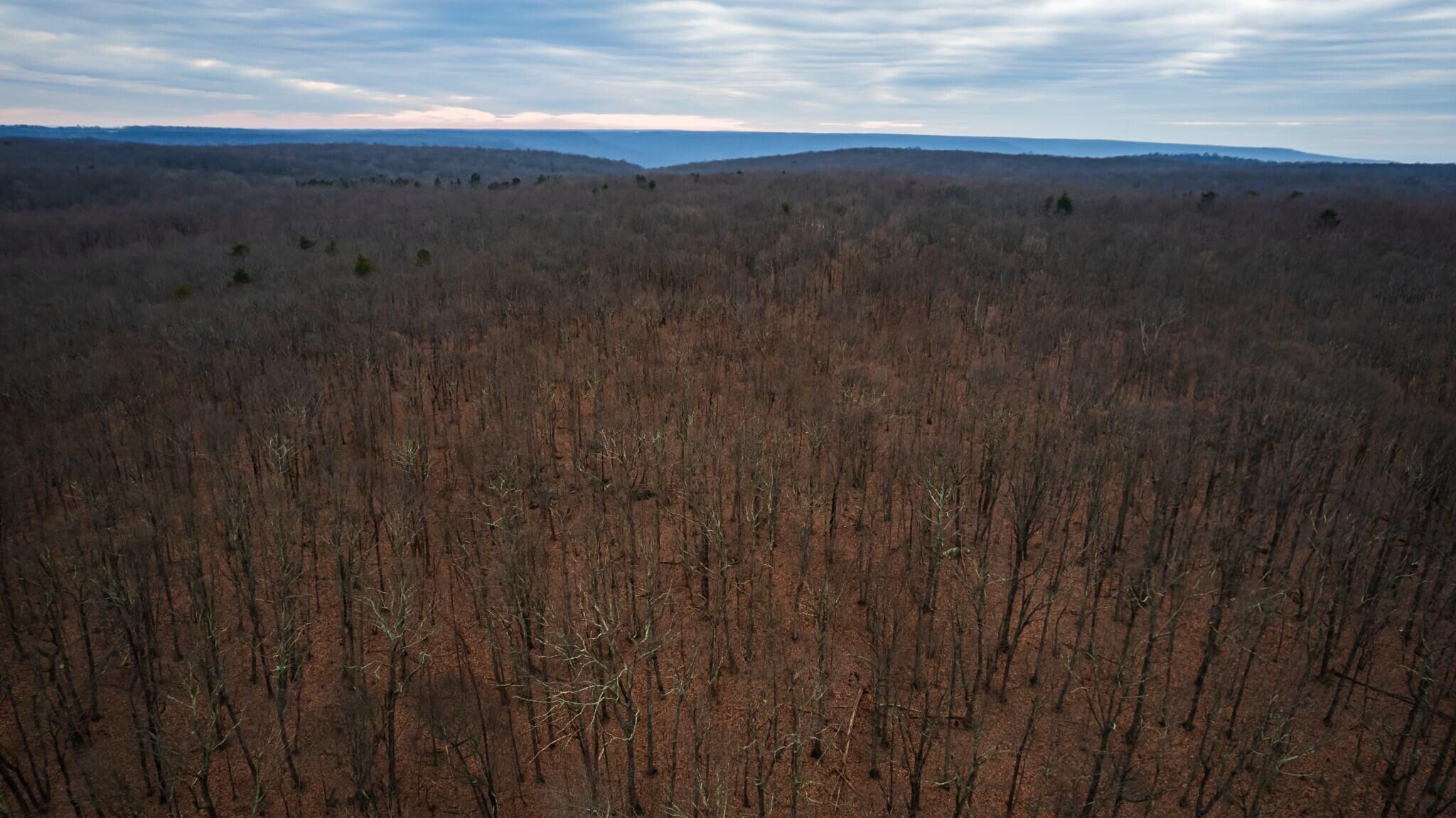 25 Higgenbottom Turnpike #25, Altamont, Tennessee image 4