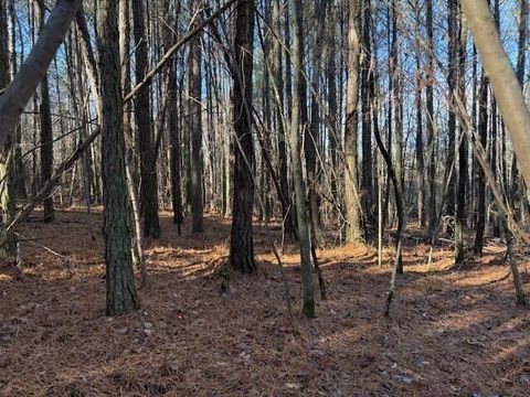Vacant Land For Sale - LOT 9 Hwy 11<br/> Valley Head, AL 35989