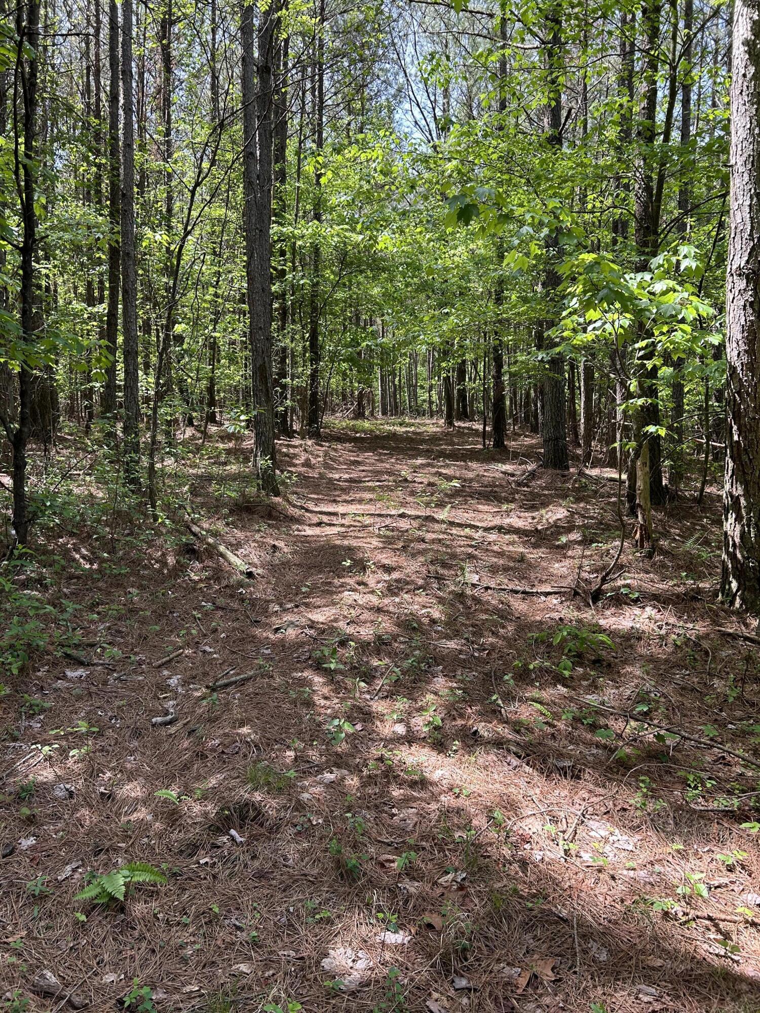 290 Bear Trace Drive #RB-201, Jasper, Tennessee image 13