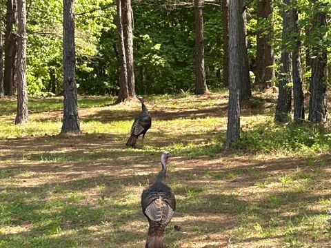 Photo of 290 Bear Trace Drive, Jasper, TN 37347 (MLS # 1391192)