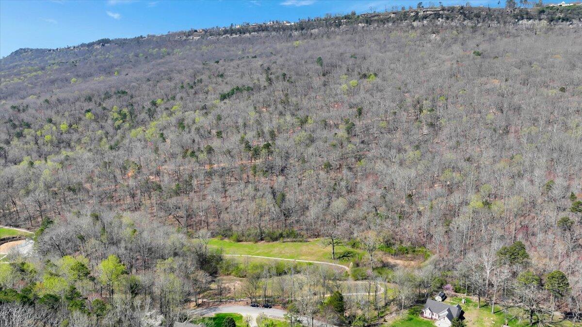 1009 Reads Lake Road #LOT 5, Chattanooga, Tennessee image 8
